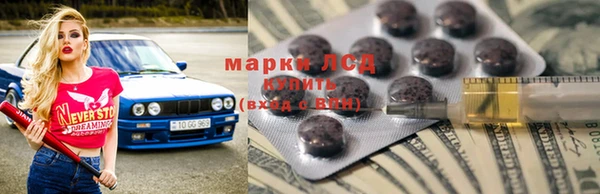 прущие грибы Володарск