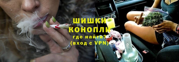 дурь Бронницы