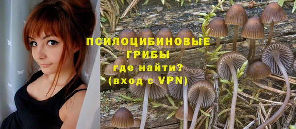 не бодяженный Вяземский