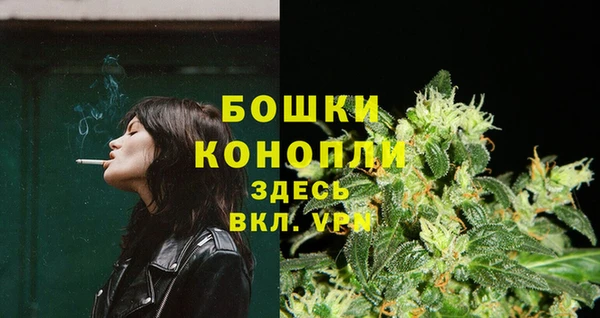 прущие грибы Володарск