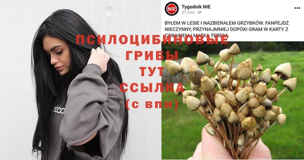 гашишное масло Волоколамск