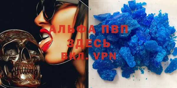 прущие грибы Володарск