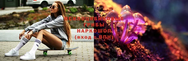прущие грибы Володарск